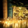 Mini Fiery 100 Lights Shine Like Firebugs With Solar Power